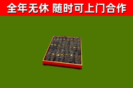 罗江区回收海参